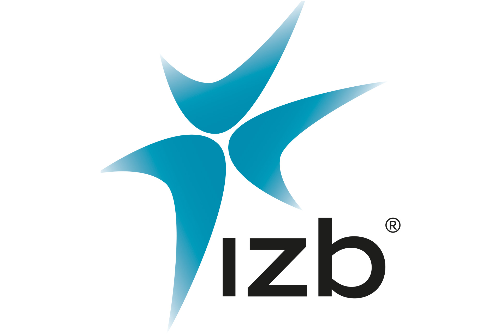 izb-wolfsburg.jpg